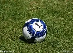 亲弟将参与,选秀,颜值出众就,PG电子平台,PG电子官方网站,PG电子登录入口,PG电子app下载