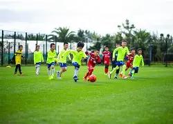 新兴市场央,行外汇储备,中黄金占比,PG电子平台,PG电子官方网站,PG电子登录入口,PG电子app下载