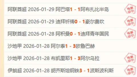 17岁新星魏祥鑫身价激增至40万欧，欧塞尔足坛迎来耀眼新援！